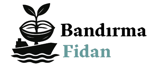 Bandırma Fidan | Kaliteli Meyve Fidanları ve Bahçe Bitkileri Satışı